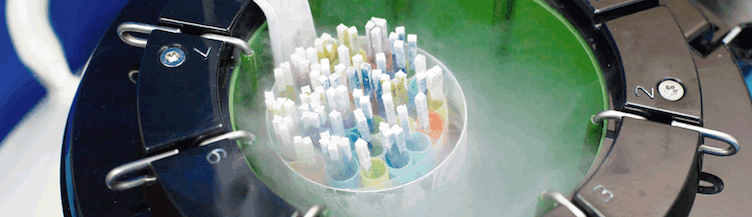 embriões congelados no alpha fertility centre