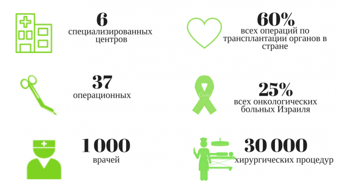 Hospital Beilinson em números Infográfico: Clínica Beilinson em números