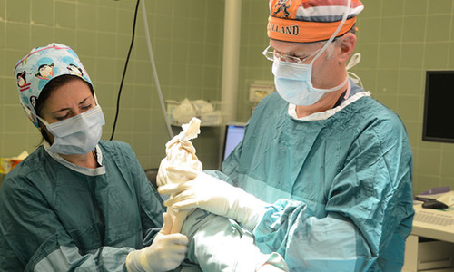 Procedimento ortopédico no hospital Ichilov Ortopedia em Sourasky